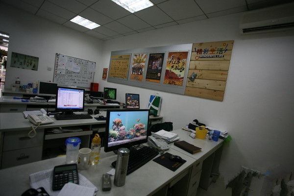 China Caiye Printing Equipment Co., LTD Unternehmensprofil 